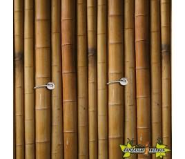 Bambou 60cm