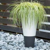 Pot de fleur rond bicolore en polypropylène D30 cm Pot de fleur rond bicolore