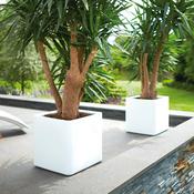Jardinière carrée en polyéthylène Pure Blanc Jardinière carrée en polyéthylène