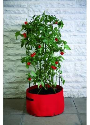 Sac de plantation tomates et tuteur