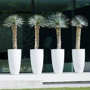 Pot de fleur rond haut en polyethylène Pure Blanc 40cm Pot de fleur rond haut en