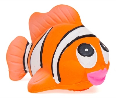 Poisson Clown de Bain