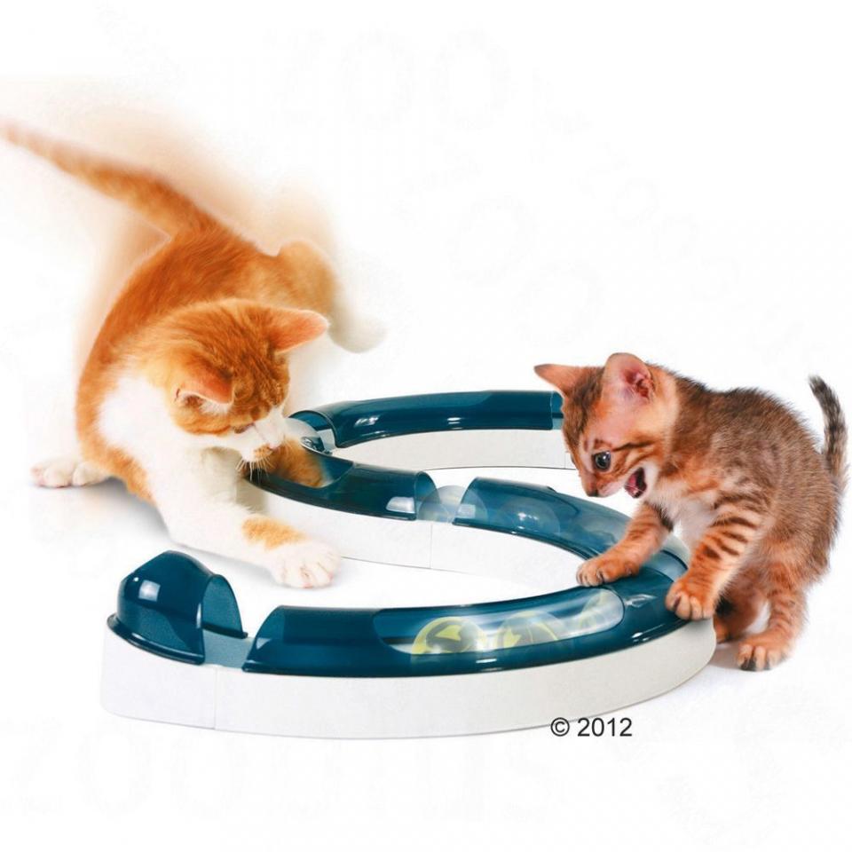 Circuit de jeu Catit Design Senses - 1 jouet