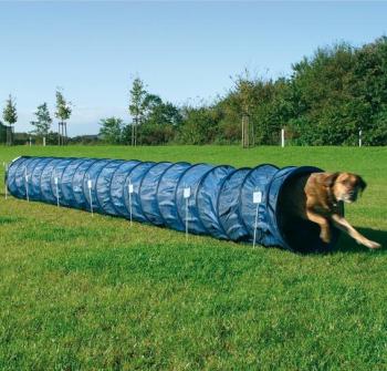 Tunnel Agility pour chien