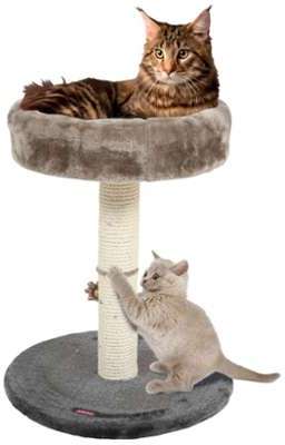 Arbre à chat 4 en 1
