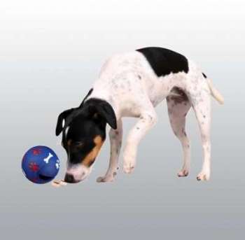 Balle distributrice de croquette Snack Ball