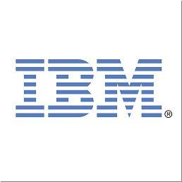 IBM C19 4.3 M line cord (Europe)