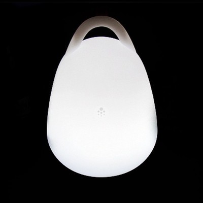 Lampe Egg LED sans fil accrochable H24 cm