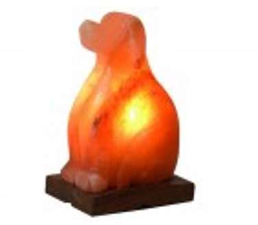 Lampe de Sel dHimalaya Naturelle - Chien - 2-3kg