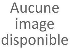 Lecteur INGENICO BALADEUR 2