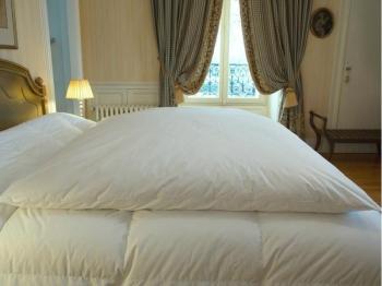 Edredon Gonflant 90 duvet de canard 600 g m Blanc Edredon Gonflant 90 duvet