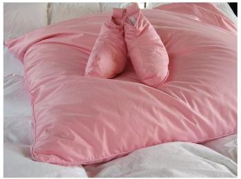Edredon Gonflant 90 duvet de canard 600 g m Couleurs Edredon Gonflant 90 duvet