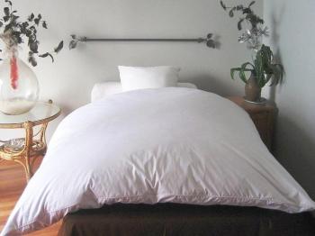 Edredon Naturel Eco 30 duvet de canard 1000 g m Edredon Naturel Eco 30 duvet