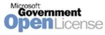Microsoft Visual Studio Enterprise with MSDN - Lic
