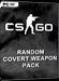 CSGO - Random Covert Skin