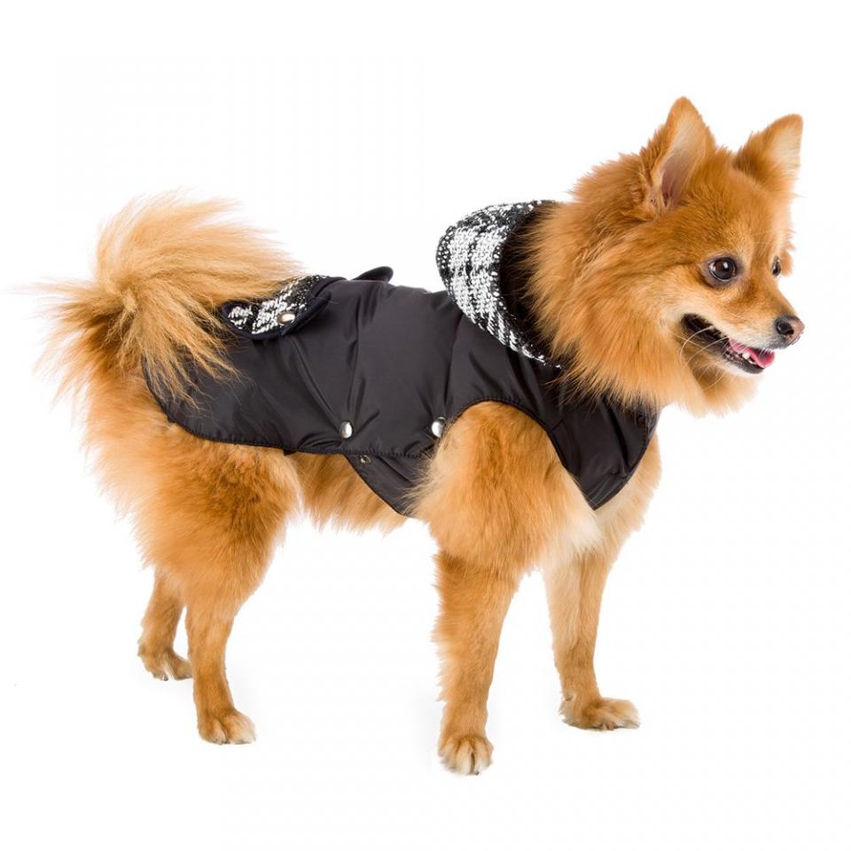 Manteau Ferplast Coco Trench pour chien - longueur