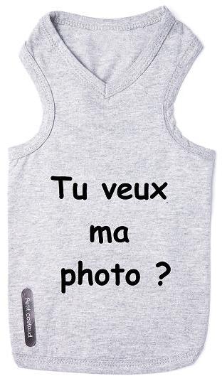 T-shirt pour chien tu veux ma photo ?