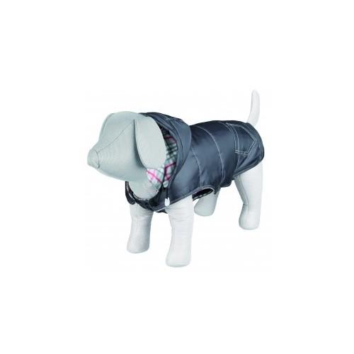 Manteau Urbino gris avec capuche amovible pour chi