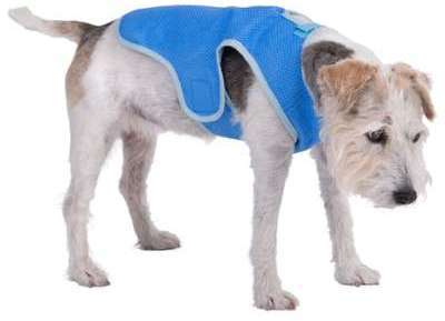 Manteau rafraîchissant Smartpet pour chien - taill
