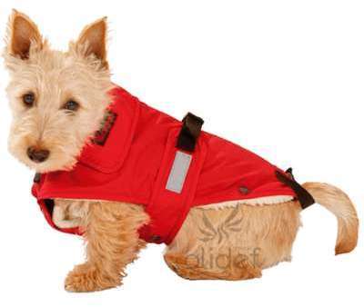 Manteau pour chien NO LIMIT rouge Tailles 40 cm Manteau pour chien NO LIMIT