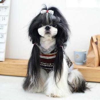 Pull pour chien Petit lapin Pull pour chien Petit lapin