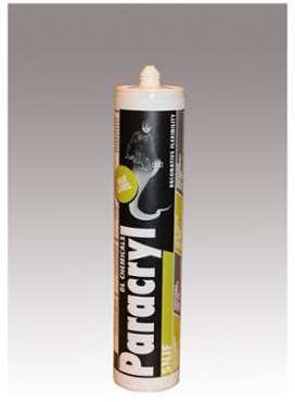 Mastic Dl Chemicals Paracryl SNJF - Blanc 400ml -