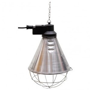 Lampe chauffante à infrarouge