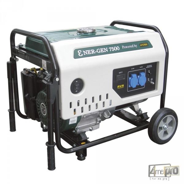 Groupe électrogène Essence Ener-gen 7500