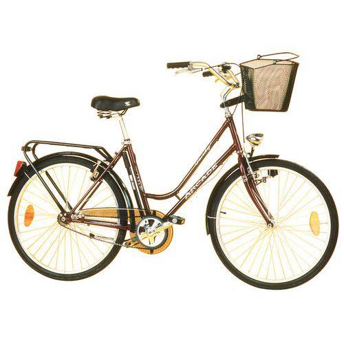Vélo type hollandais - Force 25 kg