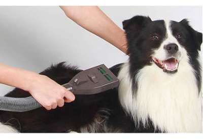 Brosse aspirante spéciale animaux
