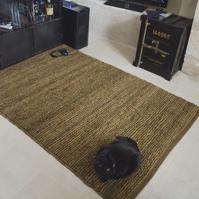 Tapis Fabrique 100% jute - Havane - 160 x 220 cm