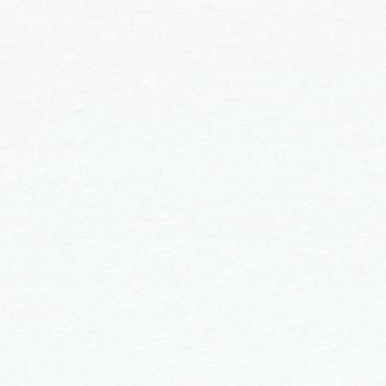 Moquette filmée - Stand Event - Blanc - 4m x 30ml