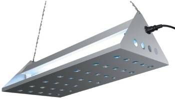 Désinsectiseur Adhésif Inox - Eazyzap - 480mm