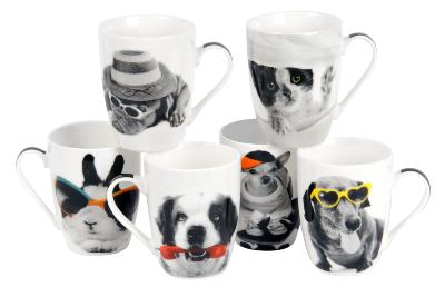 COFFRET 6 MUGS PETS