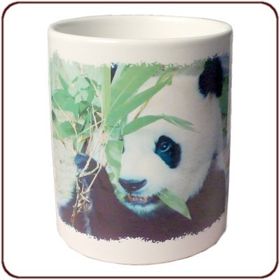 Mug Panda et Bambous