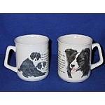 Le Border Collie