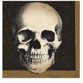 20 SERVIETTES PAPIER TÊTE DE MORT 33 CM
