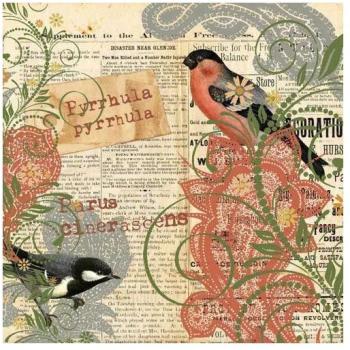 Serviettes Papier Robin Serviettes Papier Robin