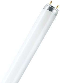 LUMILUX T8 L 36W 865 (517858) LUMILUX T8 L 36W 865 (517858)