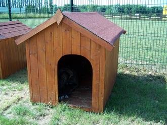 Niche à chien bi-pente 1.17 m2