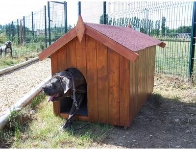 Niche chien bi-pente pour gros chiens