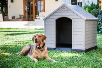 Niche pour chien étanche