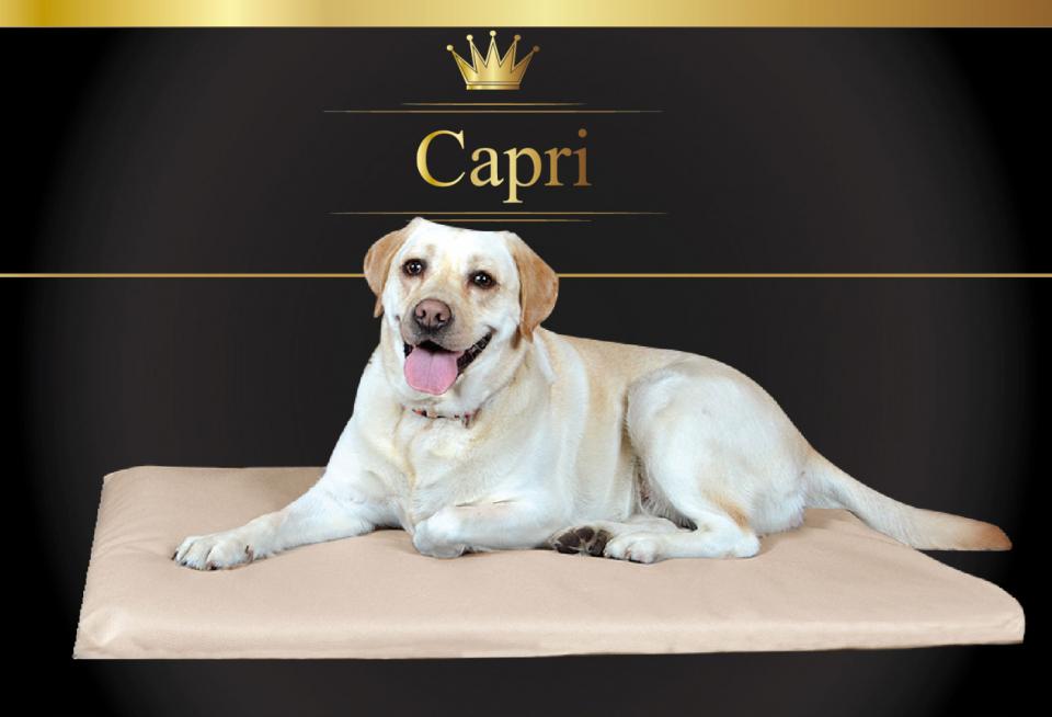 Coussin pour chien CAPRI M 80cmx60cm