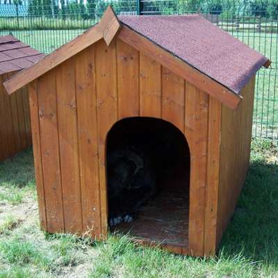 Niche à chien en bois avec toit deux pentes bitumé