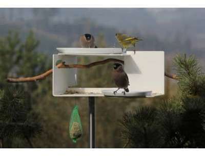 Mangeoire et baignoire pour oiseaux