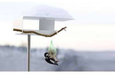 Mangeoire design pour oiseaux
