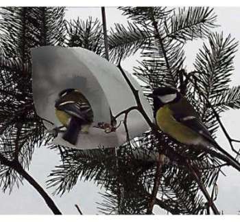 Maisonnettes design pour oiseaux par 3