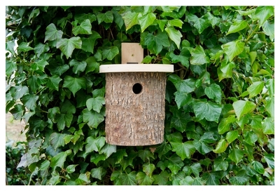 Wildlife - Nichoir pour Mésange Rustique