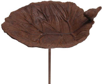 Bain oiseau feuille à planter