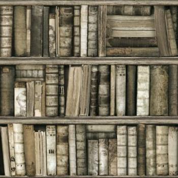 Papier Peint Bibliothèque antique,